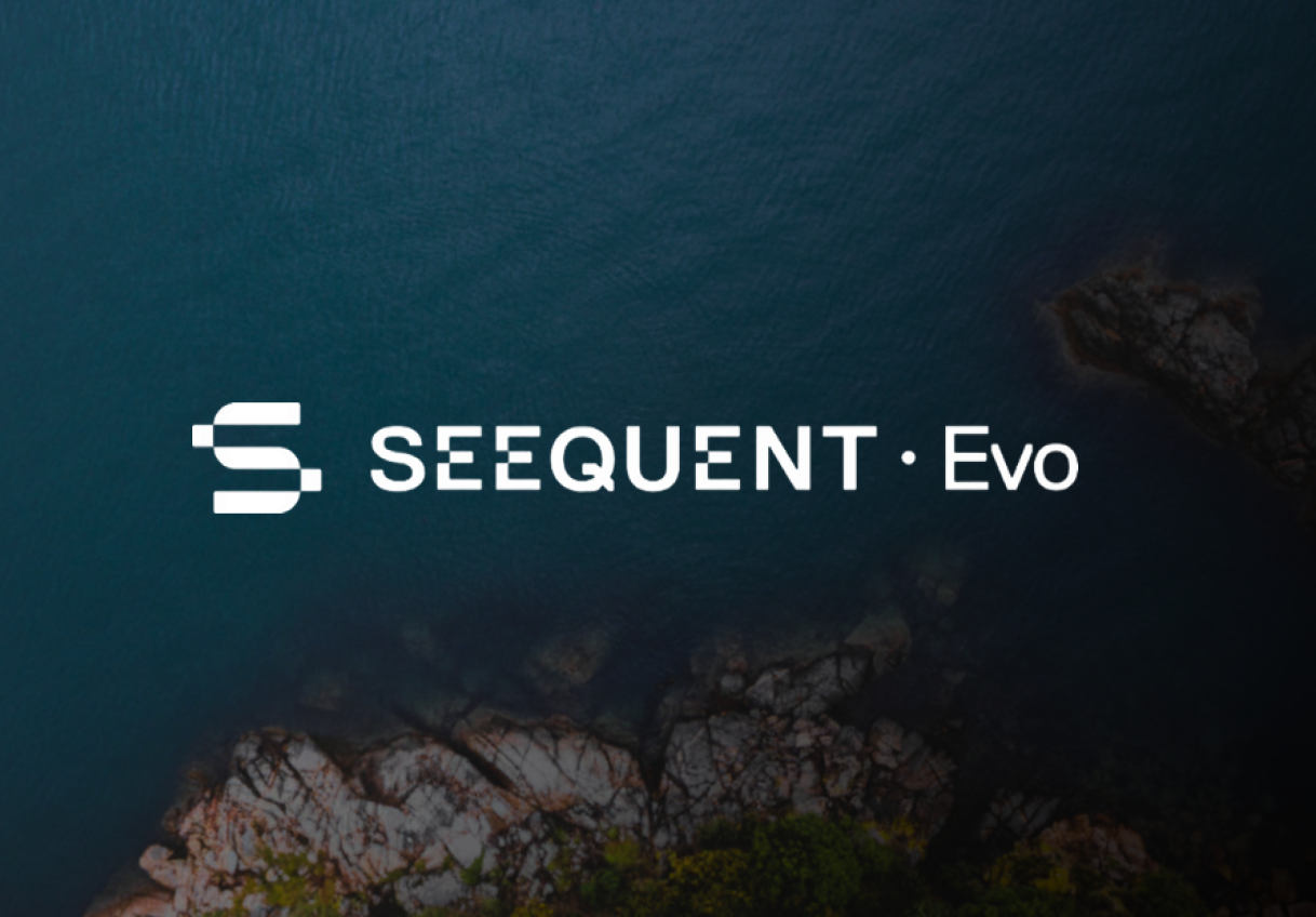 Seequent Evo • Vision & Strategy